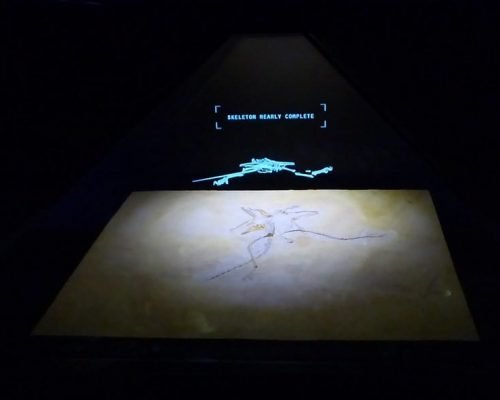 Holo Display 360